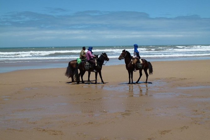 3 Hours Horse Riding in Essaouira, Beach, Forest and Dunes - Scenic Coastal Ride
