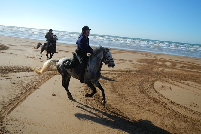 3 Hours Horse Riding in Essaouira, Beach, Forest and Dunes - Exploring Sand Dunes