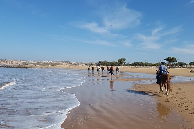 3 Hours Horse Riding in Essaouira, Beach, Forest and Dunes - Traversing Through Forests