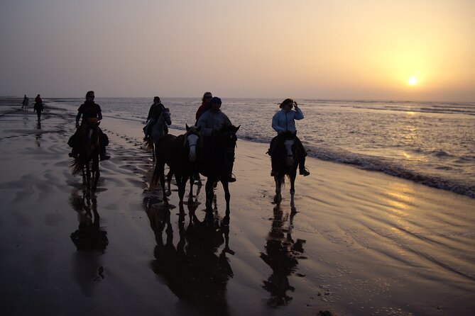 3 Hours Horse Riding in Essaouira, Beach, Forest and Dunes - Suitable for All Abilities