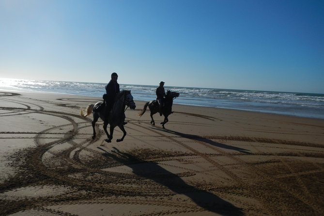 3 Hours Horse Riding With Dinner and Overnight Berber Camp - Inclusions