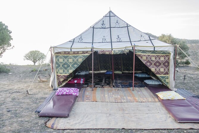 3 Hours Horse Riding With Dinner and Overnight Berber Camp - Traveler Requirements