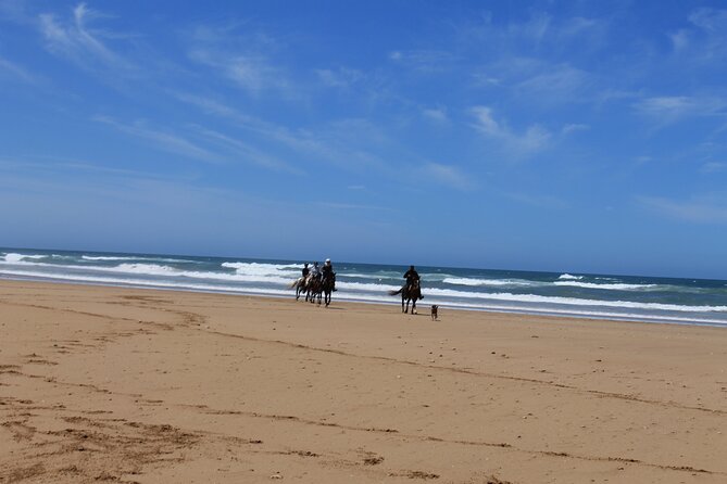 3 Hours Horse Riding With Dinner and Overnight Berber Camp - Recap