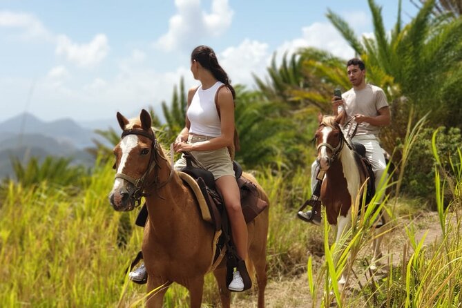 3 Hours Horseback Riding From Nature Trails to Sofa Stone - Tour Overview and Details