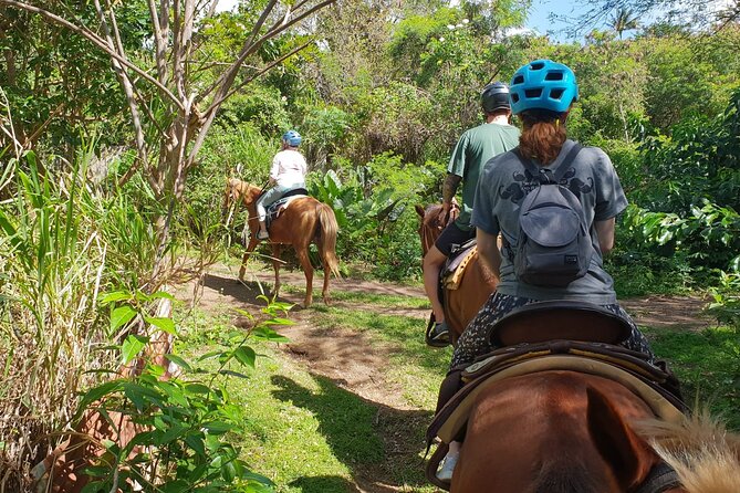 3 Hours Horseback Riding From Nature Trails to Sofa Stone - Reviews and Customer Feedback