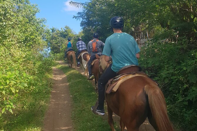 3 Hours Horseback Riding From Nature Trails to Sofa Stone - Booking and Cancellation Policy