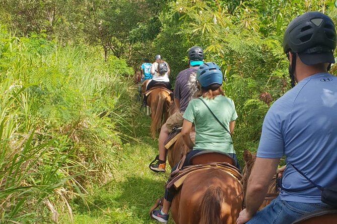 3 Hours Horseback Riding From Nature Trails to Sofa Stone - Admiring Sofa Stone Views