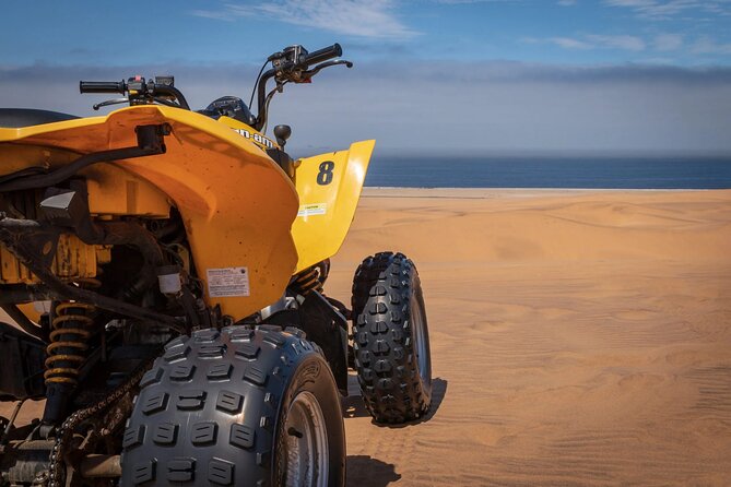 3 Hours Hurghada Desert Safari on Quad Bikes With Camel Ride - Overall Experience Summary