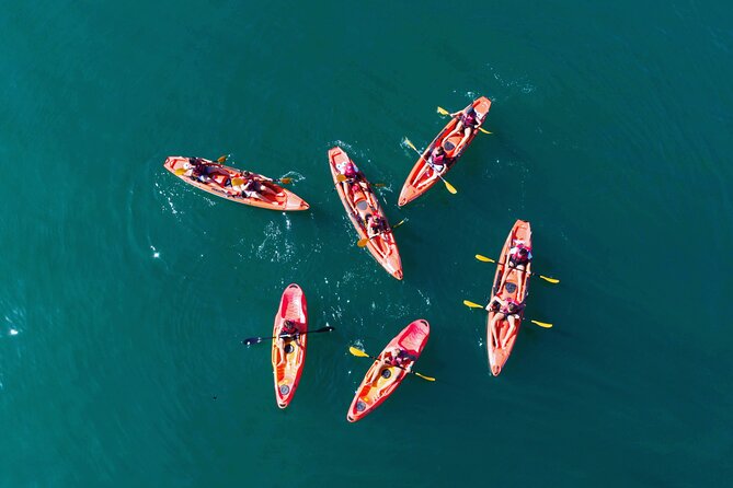3 Hours Kayaking in Kotor Bay in Montenegro - Key Points