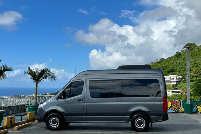 3 Hours Luxury Mercedes Van Tour in Saint Thomas - Accessibility Accommodations