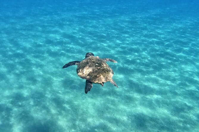 3 Hours Marathonissi Island Tour, Keri Caves and Turtles Spotting - Frequently Asked Questions