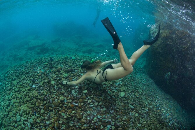 3 Hours Morning Snorkel Sail From Frenchmans Reef - Confirmation and ID Requirements