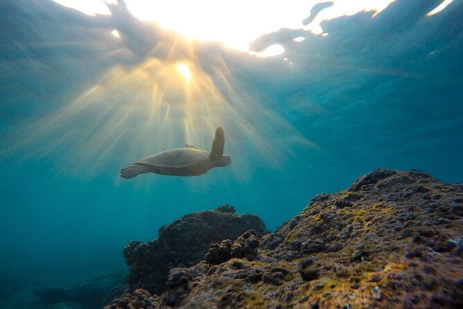 3 Hours Morning Snorkel Sail From Frenchmans Reef - Questions About Your Stay