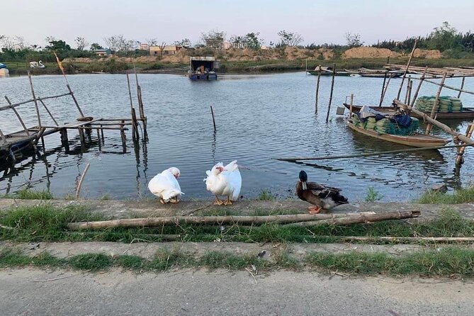 3 Hours Motorbike Tour in Hoi An Countryside. - Motorbike Rental