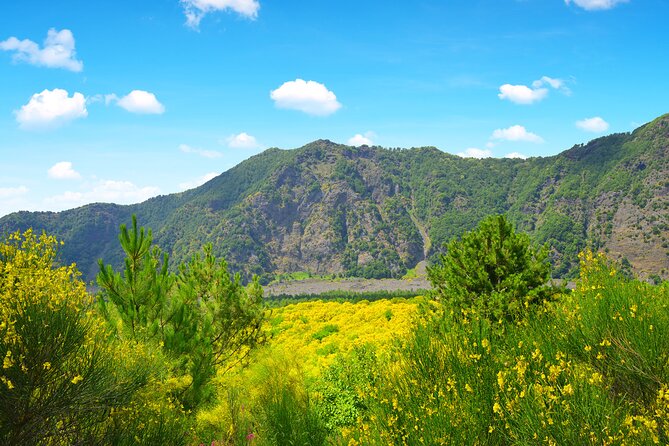 3 Hours Mount Vesuvius Crater Visit From Pompeii - Pricing and Cancellation