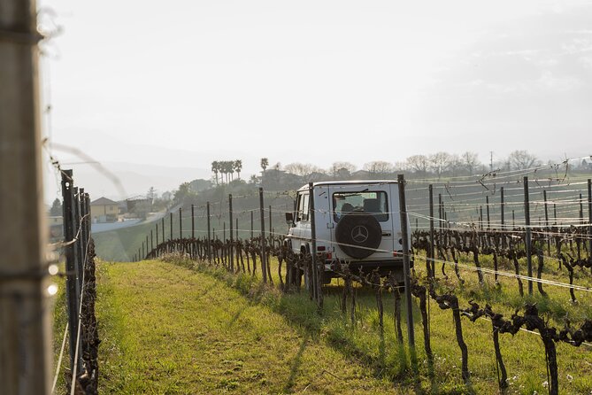 3-Hours of Activities With Safari Grand Tour and Tasting in Vineyards - Additional Information