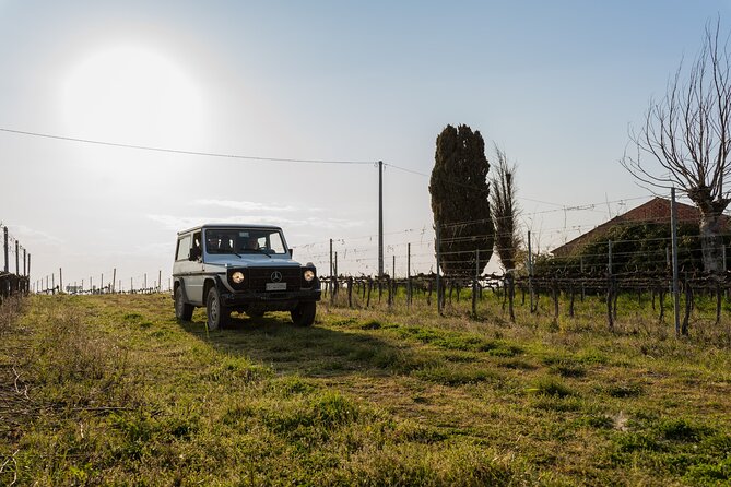 3-Hours of Activities With Safari Grand Tour and Tasting in Vineyards - Customer Reviews
