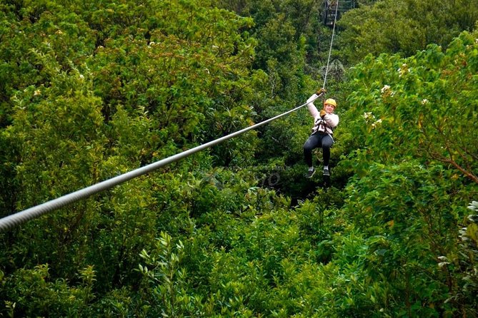 3 Hours of the Longest and Highest Extreme Zip Line Experience in Monteverde - Location and Duration