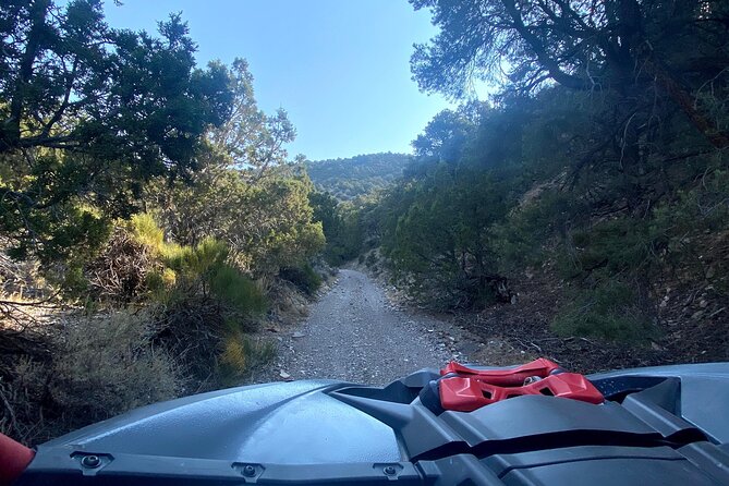 3 Hours Off-Road Adventure - Health and Accessibility