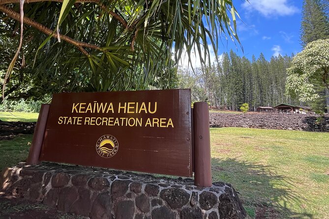 3 Hours Private Hiking and Bushwalking in the Aiea Loop Trail - Reviews and Feedback From Previous Hikers