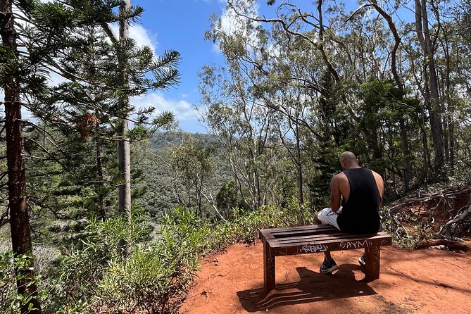 3 Hours Private Hiking and Bushwalking in the Aiea Loop Trail - Tips for a Successful Hiking Experience