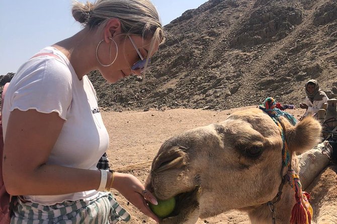 3 Hours Quad Safari Sunset & Camel Ride With Transfer - Hurghada - Negative Experiences