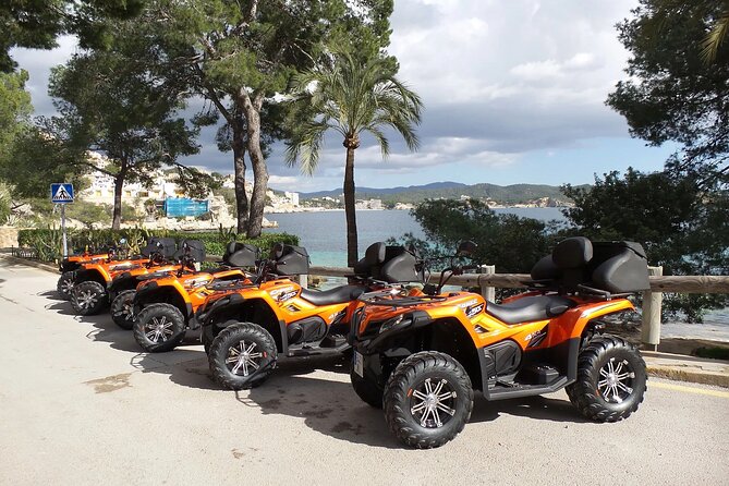 3 Hours Quad Tour From Paguera - Tour Duration