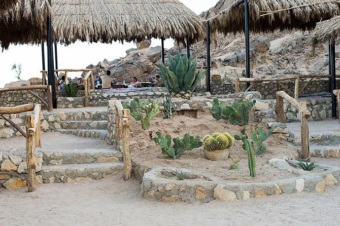 3 Hours Safari Afternoon With the ATV Quad & Camel Ride - Marsa Alam - Booking and Pickup Information