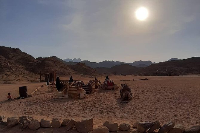 3 Hours Safari by Quad Bike - Hurghada - Overview of the 3-Hour Safari