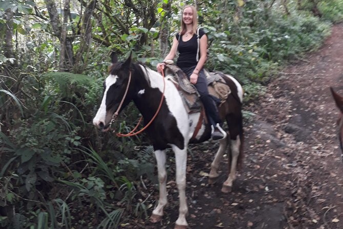 3 Hours Small-Group Horseback Riding Experience in Baños - Meeting and Pickup Information