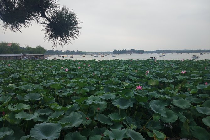 3 Hours Small Group Tour to Summer Palace With Boat Ride - Accessibility and Inclusions