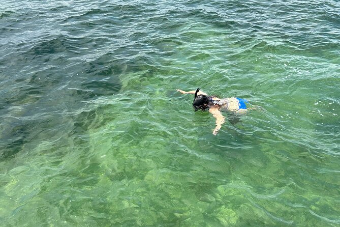 3 Hours Snorkeling Excursion in South Padre Island - Included Amenities and Equipment