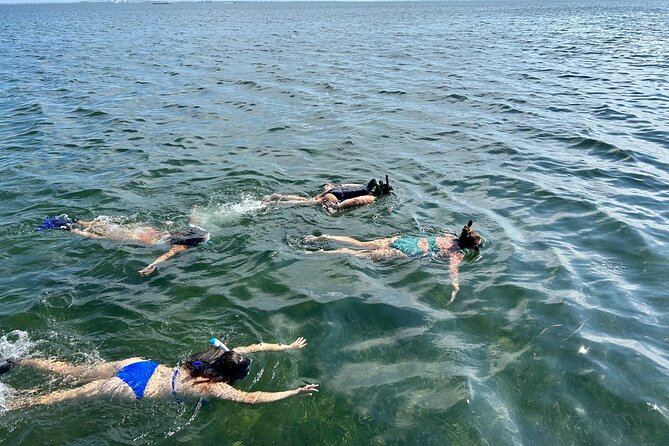 3 Hours Snorkeling Excursion in South Padre Island - Booking and Cancellation Policy