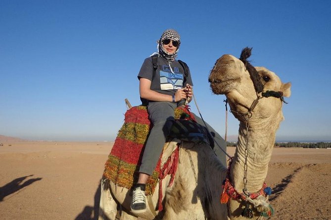 3 Hours Sunset Safari by Quad Bike, Camel Ride With Transfer - Sharm El Sheikh - Operator Information