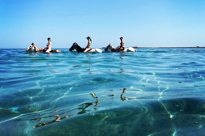 3 Hours Swimming By Horse in Red Sea Riding on the Beach and Dessert - Hurghada - Pricing and Complimentary Transfers