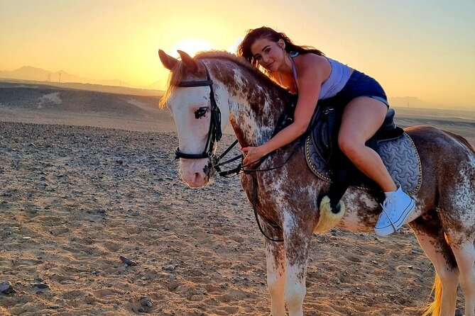 3 Hours Swimming By Horse in Red Sea Riding on the Beach and Dessert - Hurghada - Suitability for Different Participants