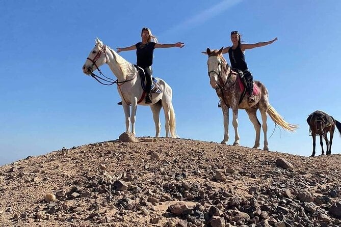 3 Hours Swimming By Horse in Red Sea Riding on the Beach and Dessert - Hurghada - Feedback From Previous Travelers