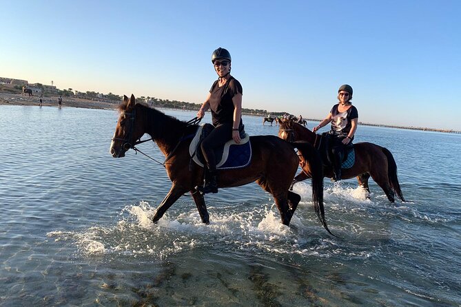 3 Hours Swimming By Horse in Red Sea Riding on the Beach and Dessert - Hurghada - Destination and Duration of the Tour