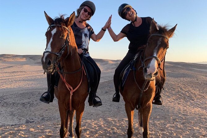 3 Hours Swimming By Horse in Red Sea Riding on the Beach and Dessert - Hurghada - Opportunity to Ride a Camel