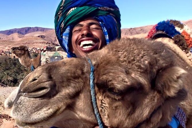 3 Hours Tangier Sightseeing & Camel Trek - Tour Overview