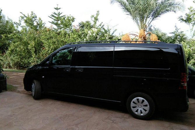 3 Hours Tangier Sightseeing & Camel Trek - Pickup and Accessibility