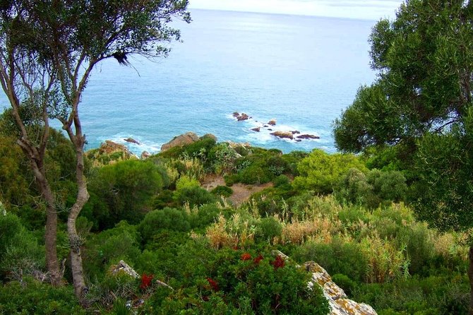 3 Hours Tangier Sightseeing & Camel Trek - Camel Trek Experience