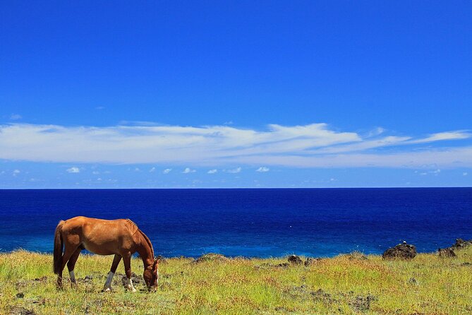 3 Hours Terevaka Horseback Private Guided Riding Tour - Recap