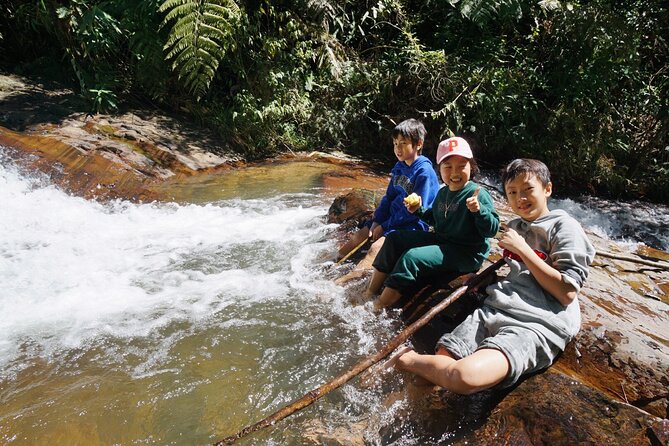 3-Hours Trekking Tour to Hidden Waterfall and Sturgeon Farm - Coffee Farm and Roastery Tour