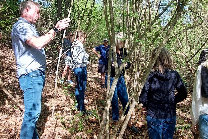 3 Hours Truffle Hunting With Pasta Cooking Class and Lunch - Truffle Hunting Details