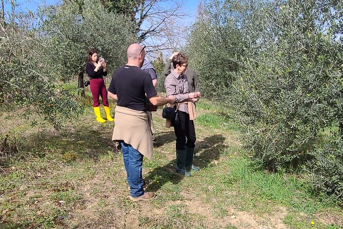 3 Hours Truffle Hunting With Pasta Cooking Class and Lunch - Meeting and End Points
