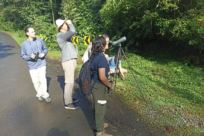 3 Hours Uvita Bird Watching Oro Verde - Duration and Group Size