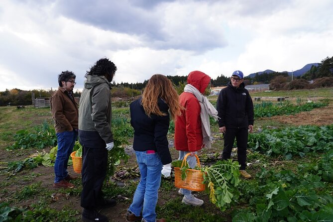 3 Hours Vegetables Harvest Activity Nearby Tokyo - Activity Details