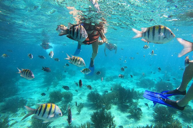 3 Hours VIP Semiprivate Tour Isla Mujeres Full Snorkeling Experience - Group Size and Guide