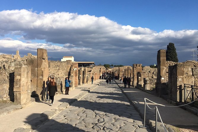 3 Hours Walking Tour in Pompeii With an Archaeologist - Private Tour Customization